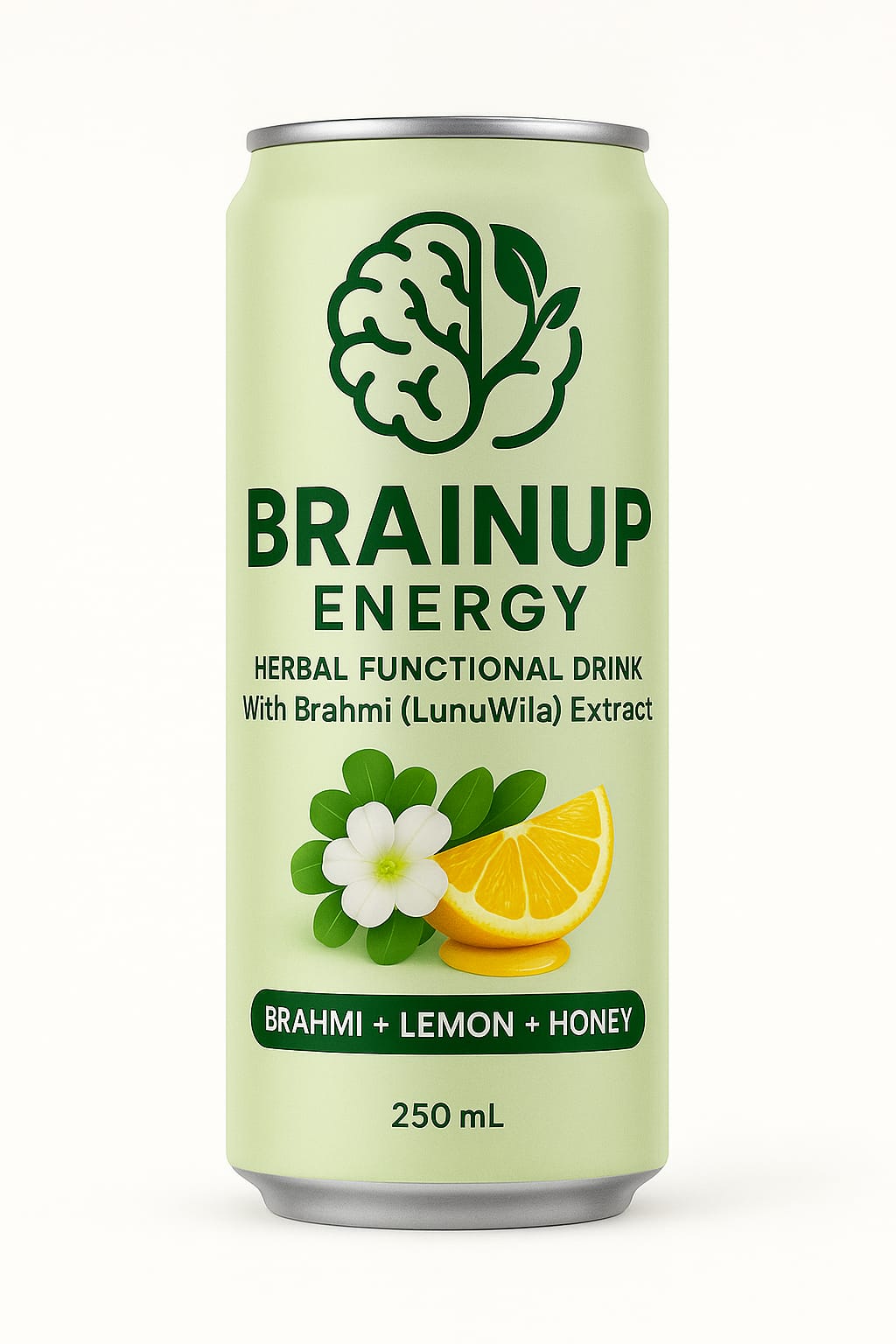 BRAINUP ENERGY
